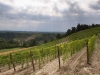 Dogliani-Weingut-Poderi-Einaudi (3)