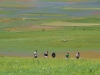 Umbrien-Castelluccio-Paolo-Gianfelici (5)