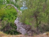 Apulien-Ostuni-Il-Frantoio-Paolo-Gianfelici (19)