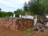 Apulien-Ostuni-Il-Frantoio-Paolo-Gianfelici (20)