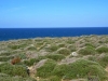 Otran to-Torre-del-Serpe-Foto-Paolo-Gianfelici (4)