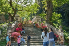 Orto Botanico di Roma