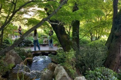 Orto Botanico di Roma