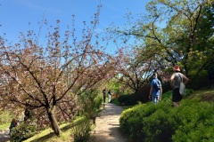 Orto Botanico di Roma