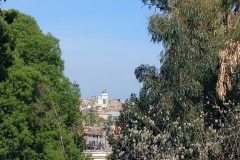 Orto Botanico di Roma