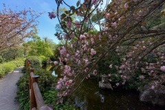 Orto Botanico di Roma