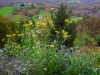 san-zeno-di-montagna-foto-elvira-dippoliti-12