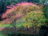 san-zeno-di-montagna-foto-elvira-dippoliti-21