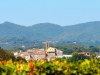 Schloss-Ruspoli-Vignanello-TiDPress (8)