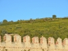 Soave-Paolo-Gianfelici (23)