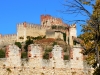 Soave-Paolo-Gianfelici (3)