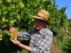 Weinberge-Foto-TiDPress (2)