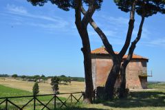 Rom-Tenuta-Fiorano-TidPress-2