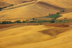 foto-Terre-di-Pisa-2