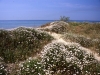 MARINA DI CASTAGNETO-Foto-Mailander