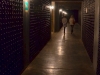 Trient-Cantine-Ferrari-Elvira-Dippoliti (3)