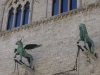 perugia-foto-elvira-dippoliti-8