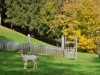 Ridnauntal-Paolo-Gianfelici (25)