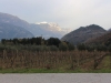 Trentino-rene-koelliker_6848 (15)