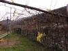 Trentino-rene-koelliker_6848 (16)