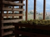 Trentino-rene-koelliker_6848 (21)