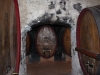 Trentino-rene-koelliker_6848 (5)