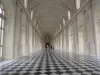 Venaria-Foto-Elvira-Dippoliti (19)