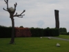 Venaria-Foto-Elvira-Dippoliti (9)