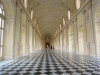 Venaria-Foto-Elvira-Dippoliti (4)