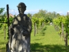 Venedig-Torcello-Foto-Paolo-Gianfelici (9)