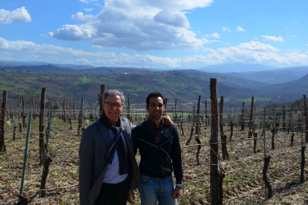 Kampanien: Die Weinberge im Wind