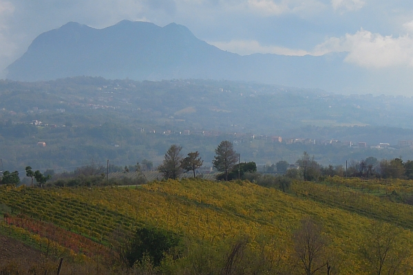 Der wahre Wein im wahren Italien