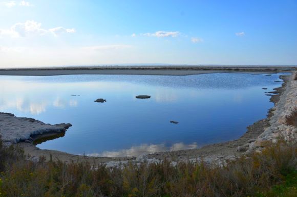  Trinitapoli, Naturpark der Feuchtgebiete, Foto  Paolo Gianfelici