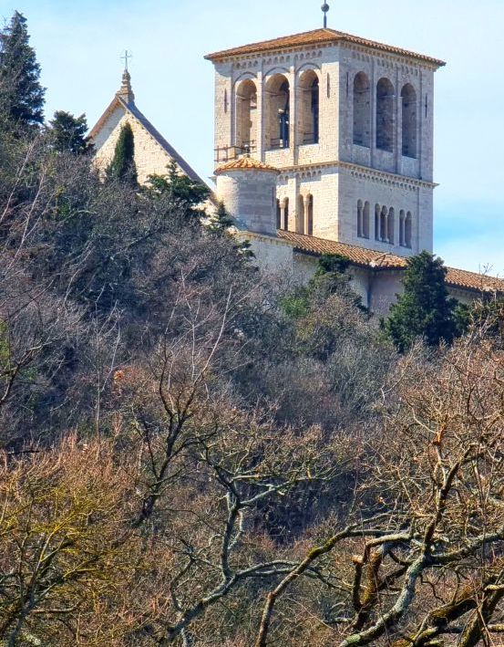 Assisi, „Bosco di San Francesco“, Foto Lisa Mittelberger