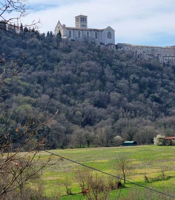 Assisi, „Bosco di San Francesco“, Foto Lisa Mittelberger