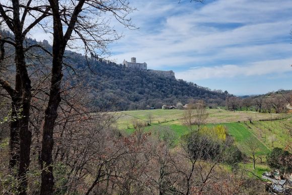 Assisi, der Bosco di San Francesco