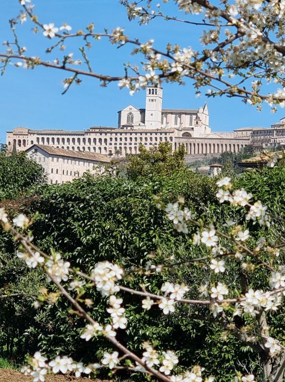 Assisi, Foto Lisa Mittelberger