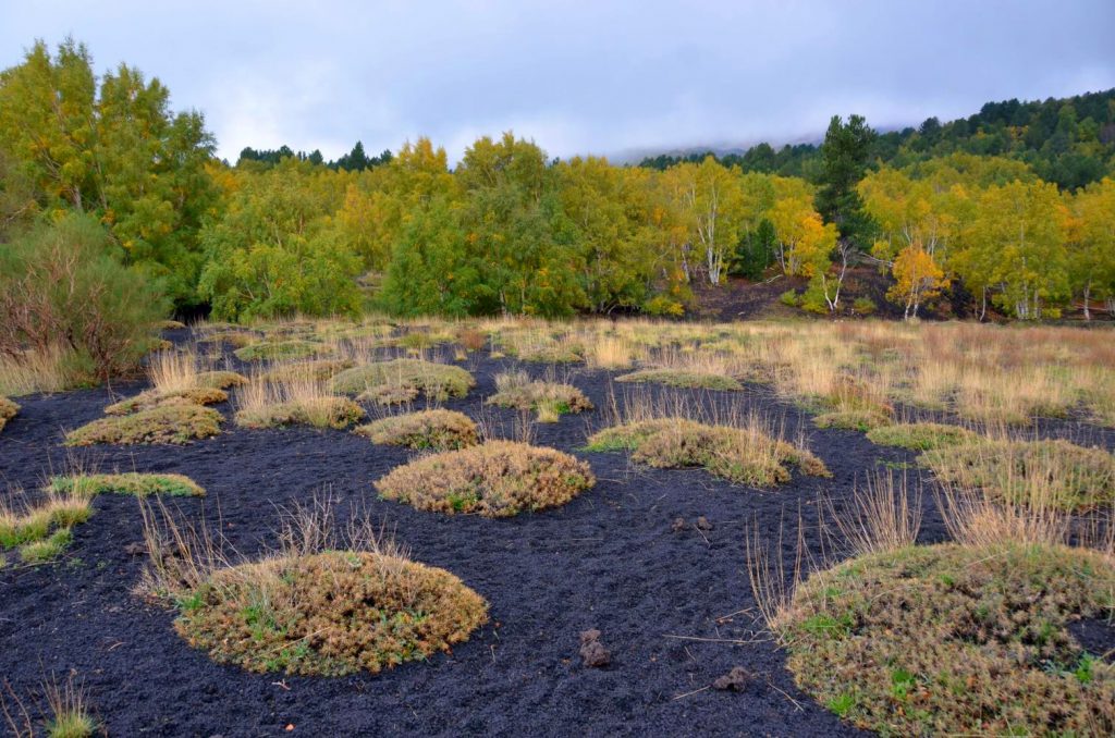 Ätna, die Farben des Herbstes auf 2000 Meter