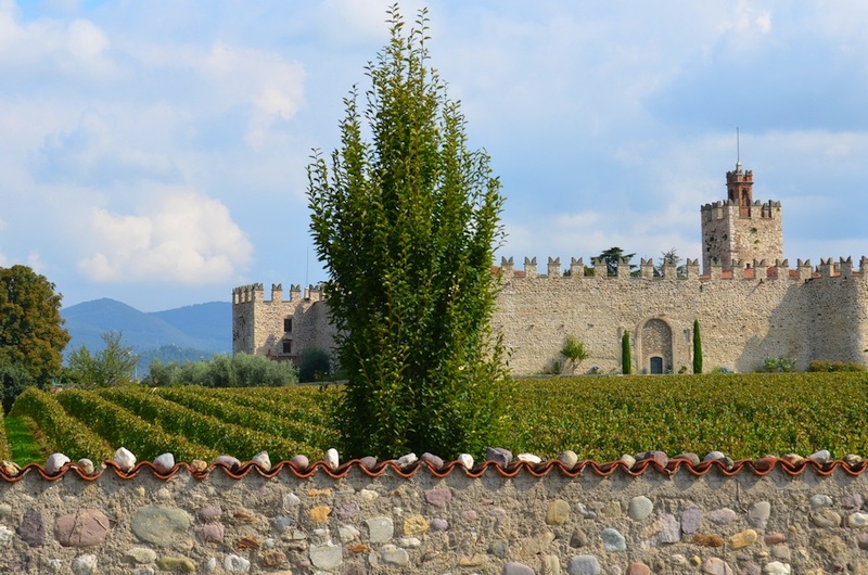Traum-Weinberge in Italien