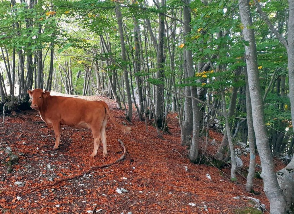 Latium, Herbst im Appennin