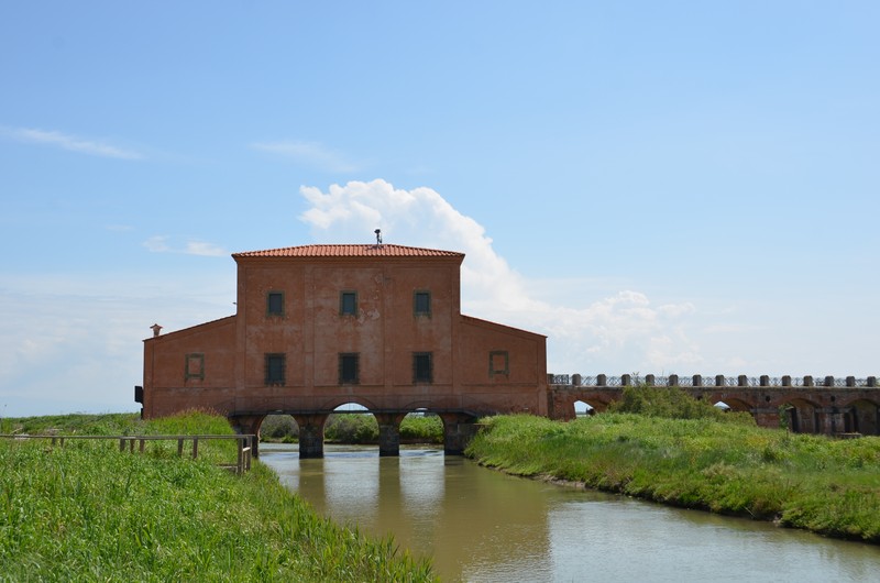 Maremma: das pastellfarbene Naturschutzgebiet „Diaccia Botrona