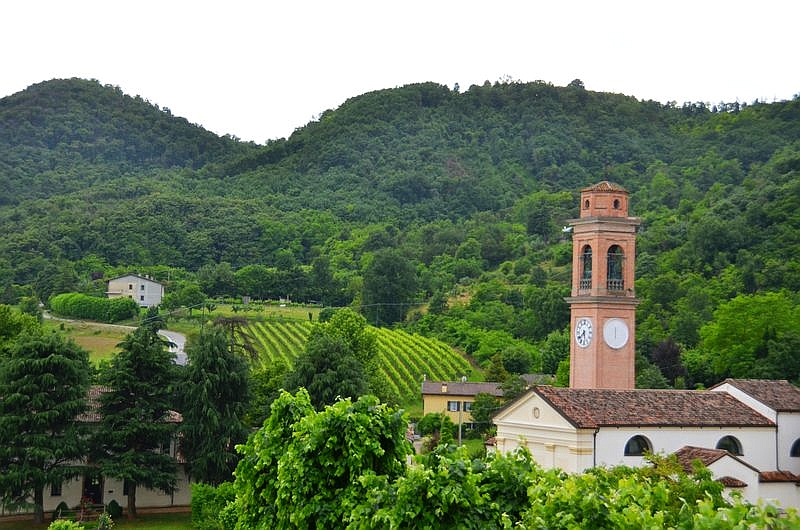 Euganeische Hügel: Weinproduktion und schöne Landschaft
