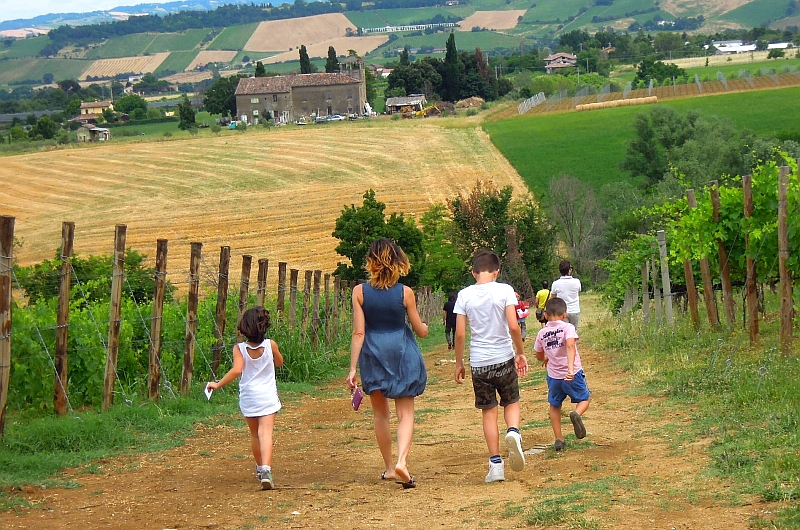 Drei Donà: Die Geschichte vom vierbeinigen Önologen und vom guten Wein