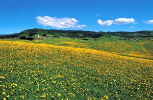 Foto Asiago Turismo