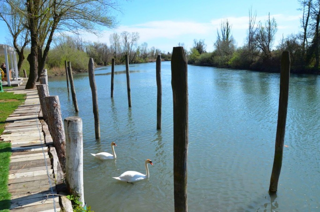 Marano Lagunare, historisches Küstendorf