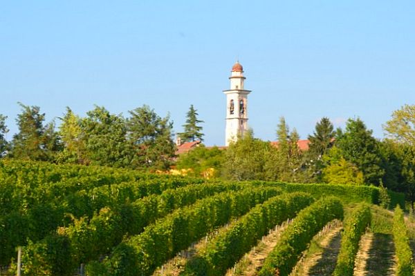 Piemont: Das Weingebiet Gavi