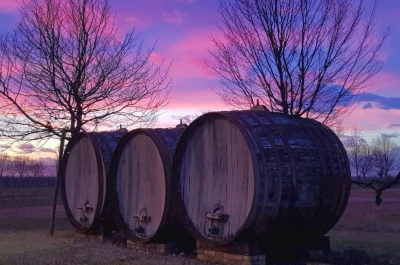 Wein und Wasser: Die schöne Umgebung des Weingutes „Isola Augusta“