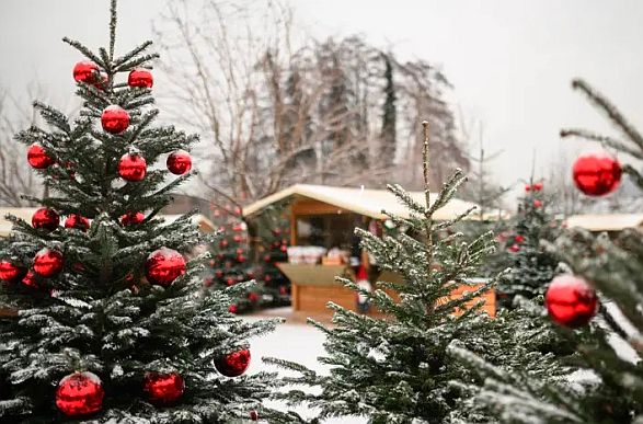 Der Sterntaler Weihnachtsmarkt in Lana