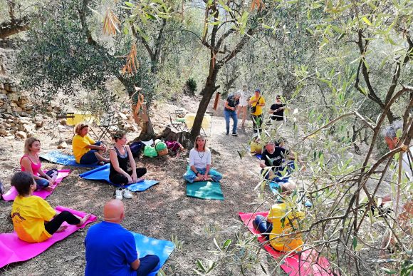 „Oliveti Aperti 2022“, Wanderungen und Yoga-Kurse in den Olivenhaine