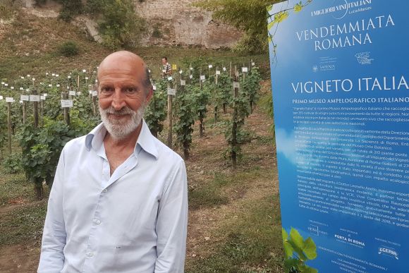 Rom, Luca Maroni, „Vigneto Italia“, Foto TiDPress